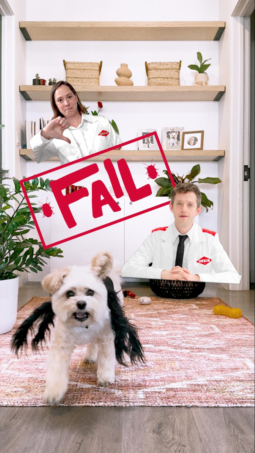 Fixed Fails Dog