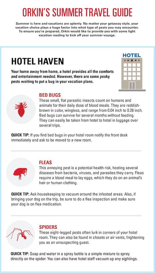 Orkin's Summer Travel Guide - Introduction and Hotel Haven