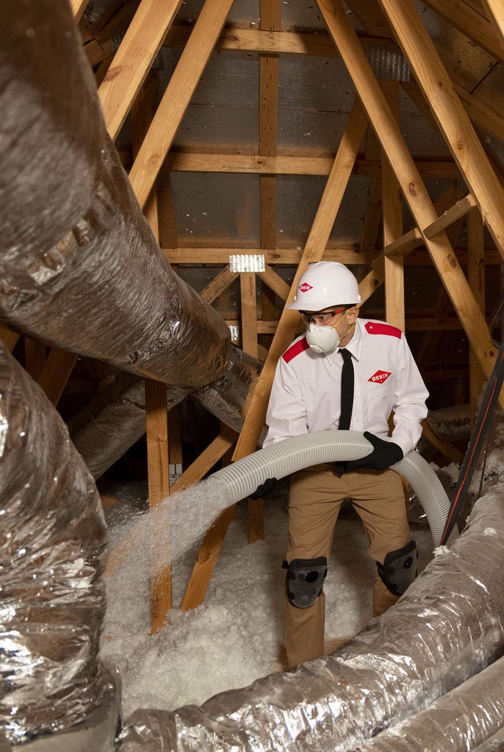An Orkin Pro installing insulation to a customer's attic