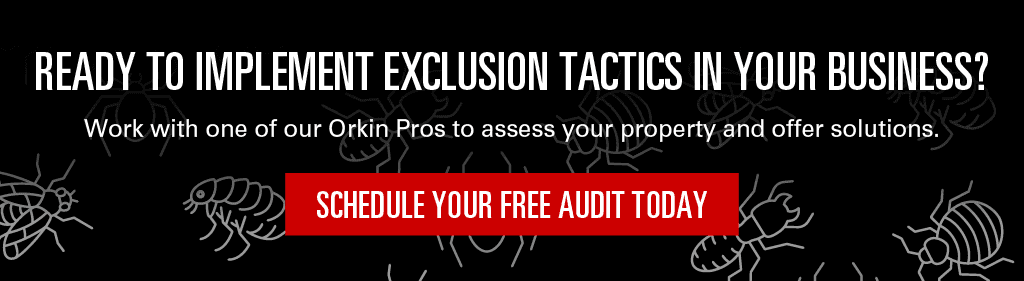 Ready to implement exclusion tactics in your business? Work with one of our Orkin Pros to assess your property and offer solutions. Schedule your free audit today.