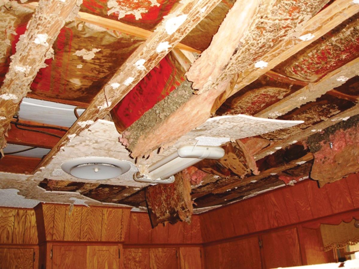 Termite Ceiling Damage