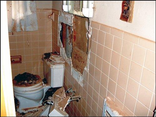 Termite Damage In Bathroom