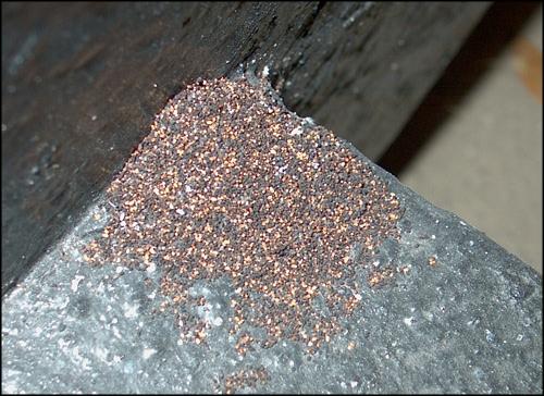 Drywood Termite Droppings