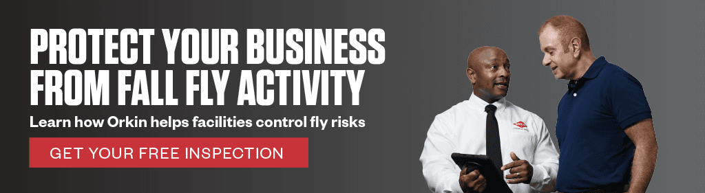 Protect Your Business From Fall Fly Activity. Learn how Orkin helps facilities control fly risks. CTA - Get your free inspection