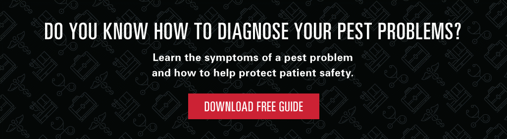 Do you know how to diagnose your pest problems? Learn the symptoms of a pest problem and how to help protect patient safety. Download free guide.