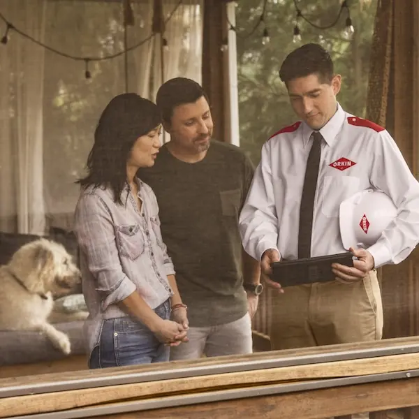 Orkin Pro using a tablet to discuss treatment services with customers