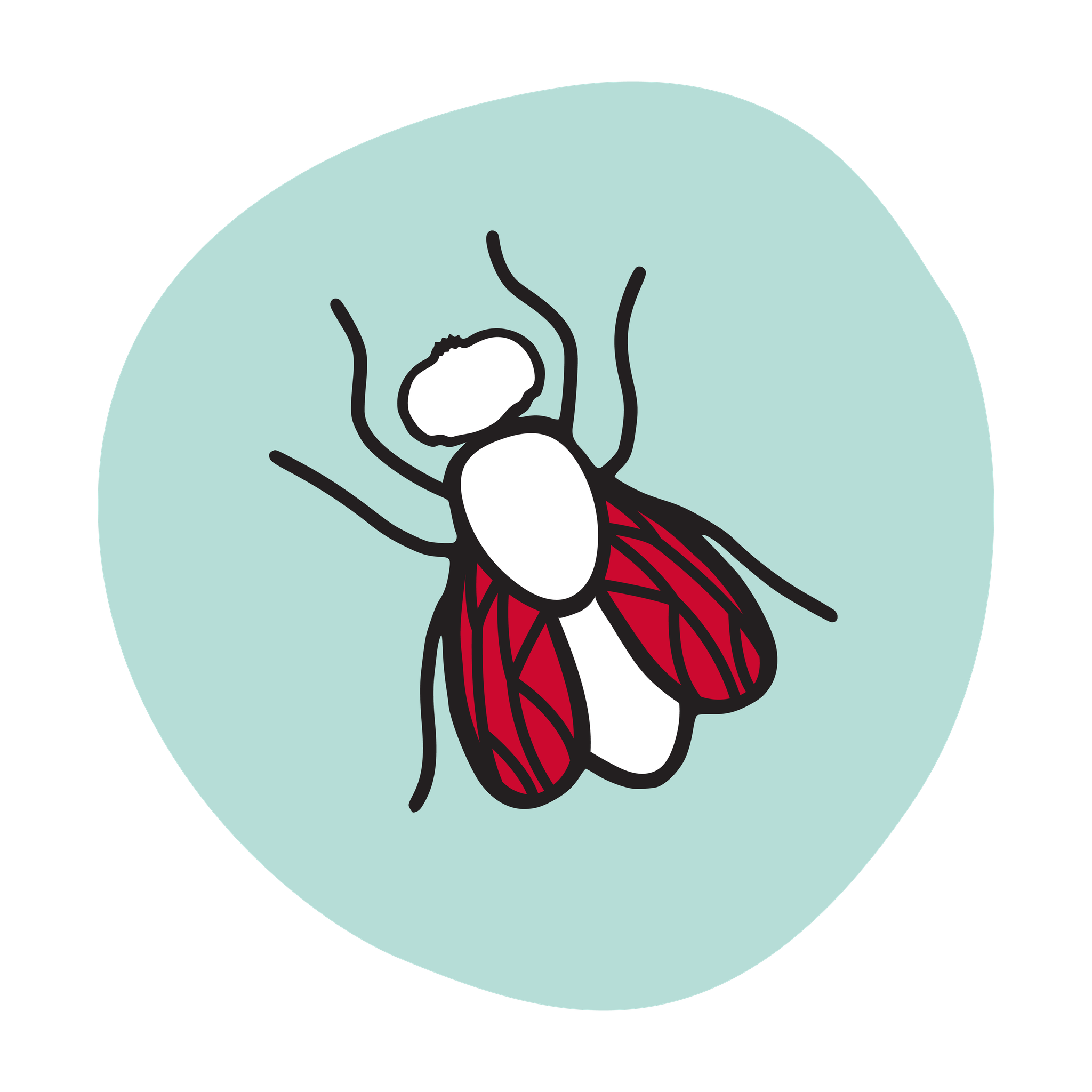 Fly Icon