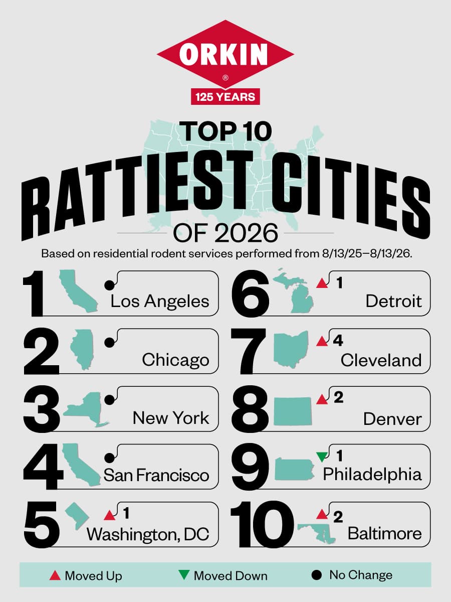 Infographic titled Orkin Top 10 Rattiest Cities of 2026: 1. Los Angeles, 2. Chicago, 3. New York, 4. San Francisco, 5. Washington, DC (+1), 6. Detroit (+1), 7. Cleveland (+4), 8. Denver (+2), 9. Philadelphia (-1), 10. Baltimore (+2).