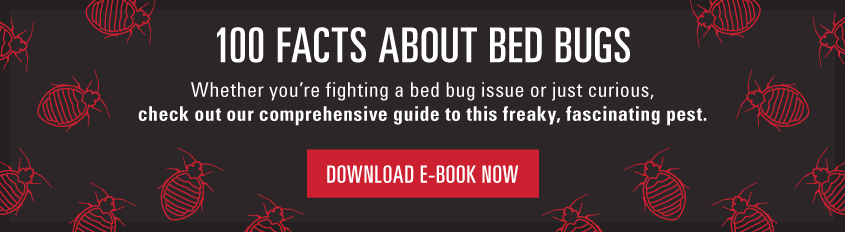 100 facts about bed bugs. Whether you're fighting a bed bug issue or just curious, check out our comprehensive guide to this freaky, fascinating pest. Download e-book now.