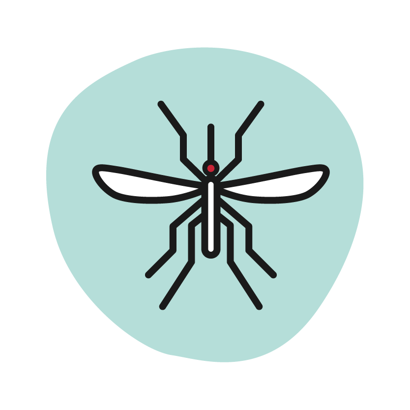 Mosquitoes Icon
