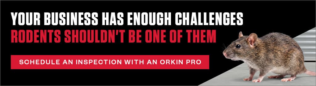 Banner: "Your business has enough challenges. Rodents shouldn't be one of them." Call to action button: "Schedule an inspection with an Orkin Pro."