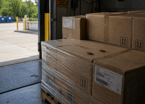 Two cockroaches resting on top of shrink-wrapped cardboard boxes stacked on a wooden pallet near an open loading dock door.