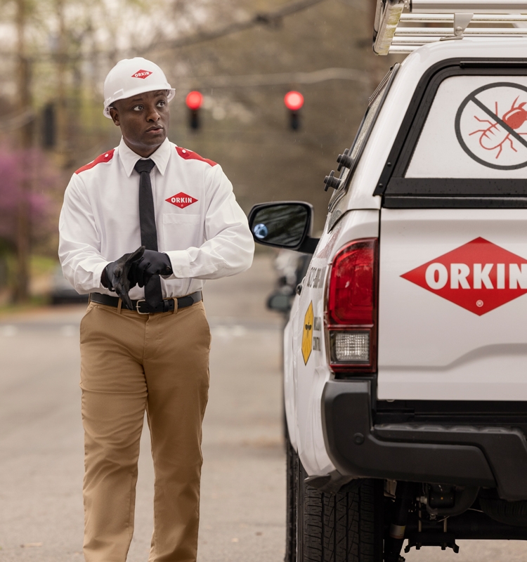Orkin Pro next to an Orkin truck preparing to perform residential pest control service