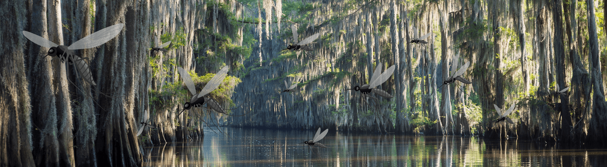 Gulf Coast landscape with illustrated mosquitoes on the trees