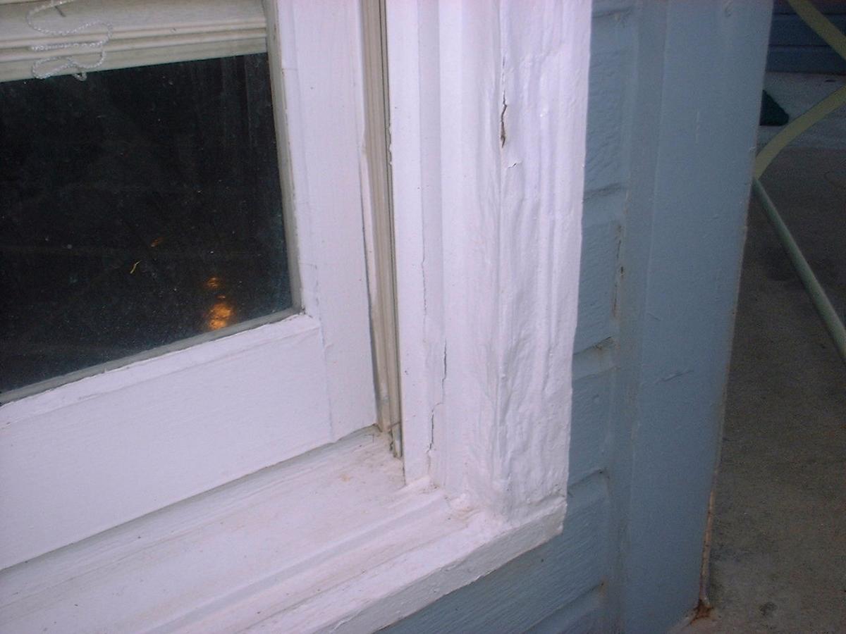 نافذة تالفة من النمل الأبيض