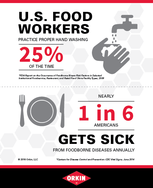 Handwashing Infographic