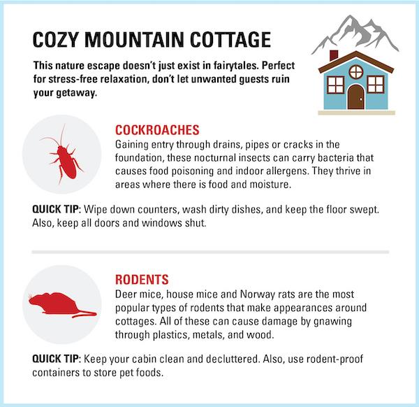Orkin's Summer Travel Guide - Cozy Cottage