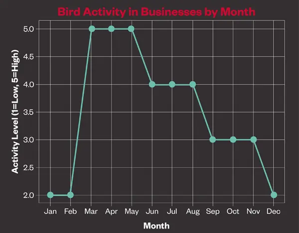 Line graph titled 'Bird Activity in Businesses by Month.' Activity level (1 to 5) spikes from 2.0 in Feb to a peak of 5.0 from Mar to May, steps down to 4.0 from Jun to Aug, drops to 3.0 from Sep to Nov, and returns to 2.0 in Dec.
