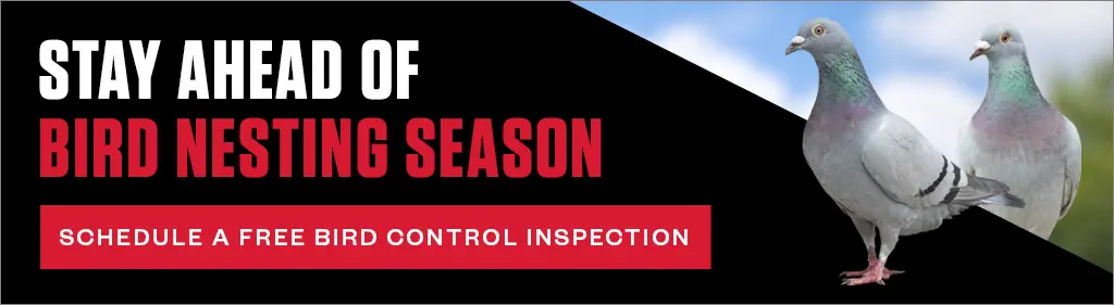 Banner text: 'Stay ahead of bird nesting season. Schedule a free bird control inspection.' The left side has a black and red background, and the right side features two pigeons against a blue sky.