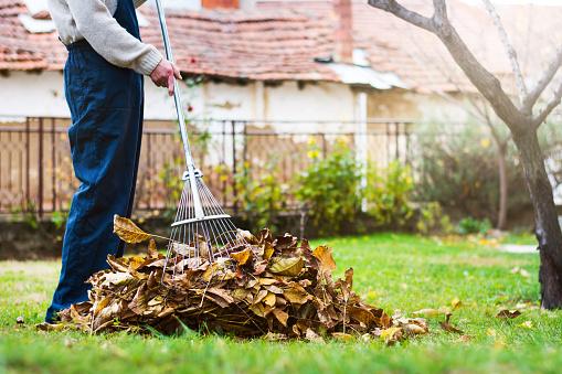 Raking leaves in front of a house