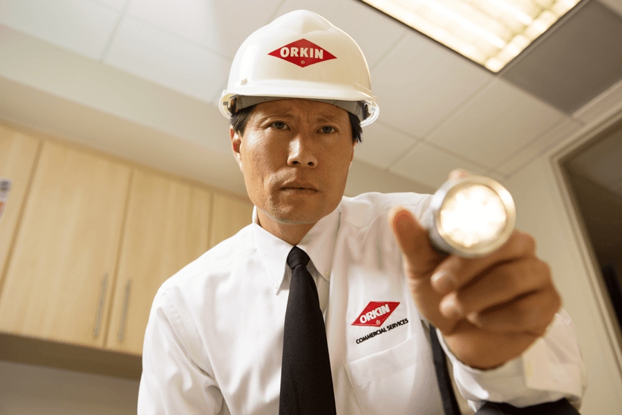 Orkin Pro Shining Flashlight