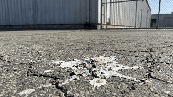 bird droppings on a concrete drive outside of a commercial facility.