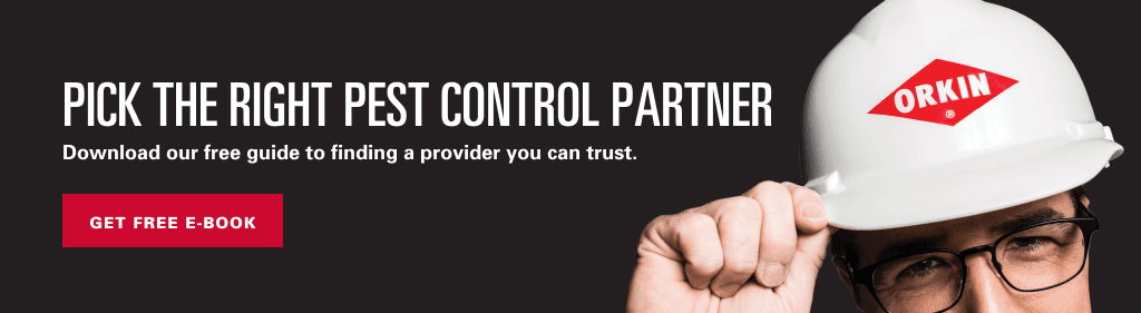 Pick the right pest control partner. Download our free guide to finding a provider you can trust. Get free e-book.