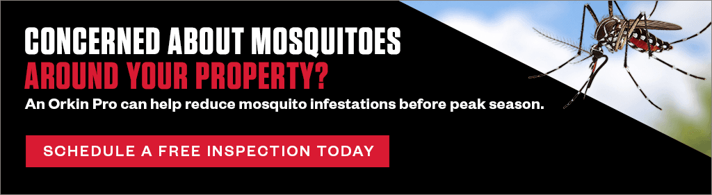 Concerned About Mosquitoes Around Your Property? An Orkin Pro can help reduce mosquito infestations before peak season. CTA - Schedule a Free Inspection Today