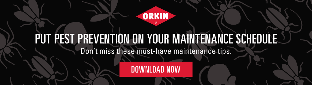 Put pest prevention on your maintenance schedule. Don't miss these must-have maintenance tips. Download now.