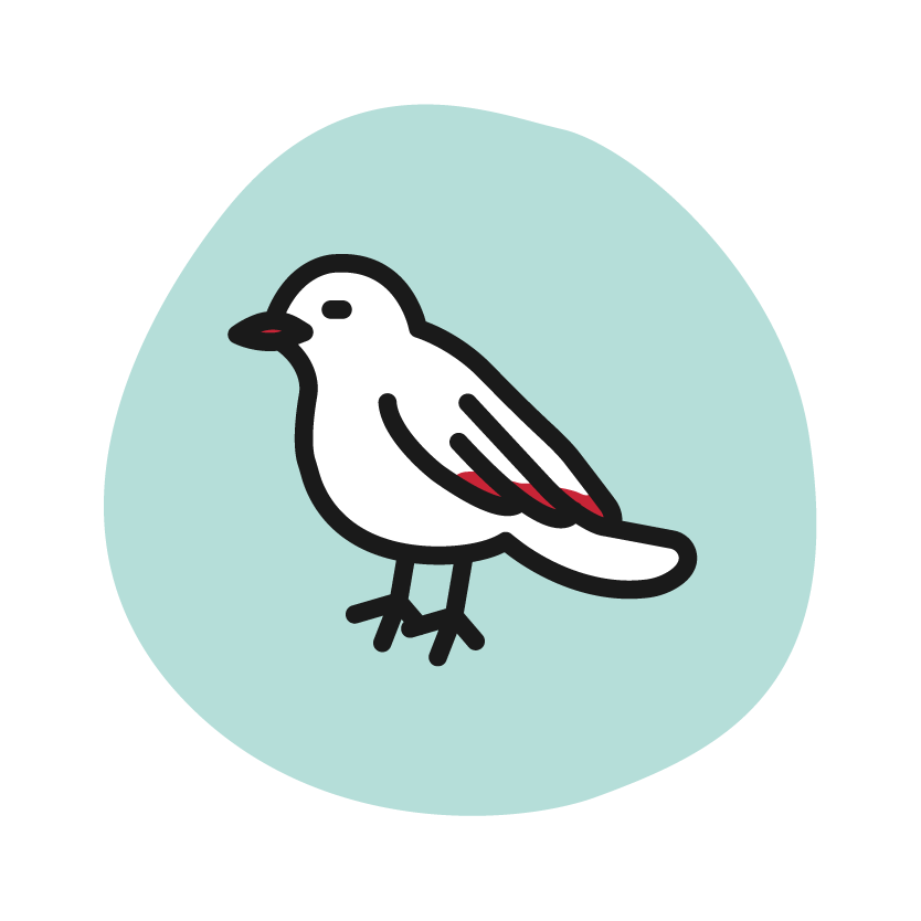 Bird Control One-Pager - Image