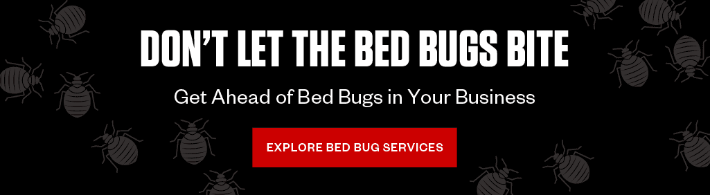 Don't let bed bugs bite. Get ahead of bed bugs in your business. Explore bed bug services.