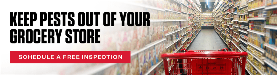Headline: Keep Pests Out of Your Grocery Store CTA: Schedule a Free Inspection