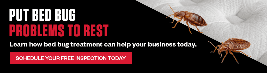 Promotional banner with text "PUT BED BUG PROBLEMS TO REST. Learn how bed bug treatment can help your business today." and a red button reading "SCHEDULE YOUR FREE INSPECTION TODAY."