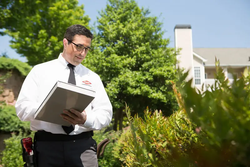 Orkin technician inspecting landscaping for mosquito activity