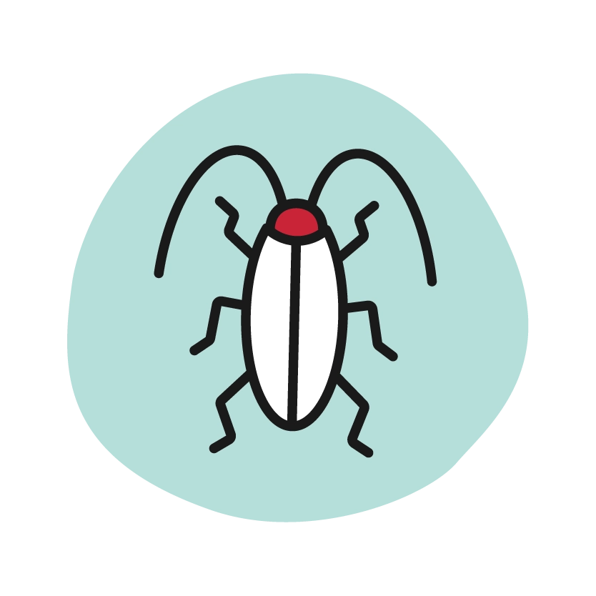Stored Product Pests Icon
