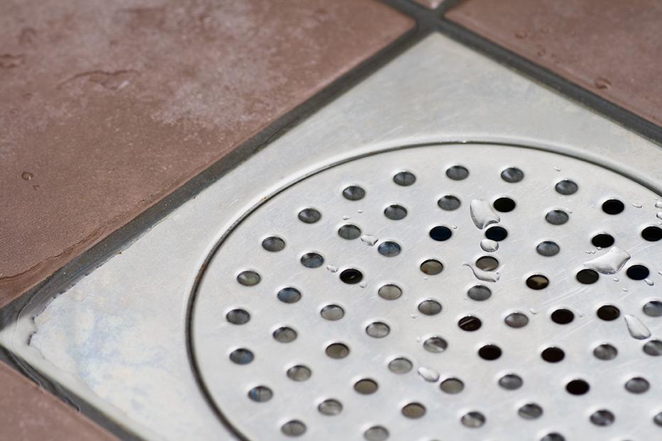 A Drain Is A Hot Spot For Pests