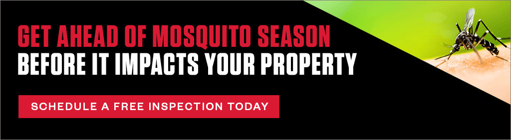 Get Ahead of Mosquito Season Before It Impacts Your Property. CTA - Schedule a Free Inspection Today