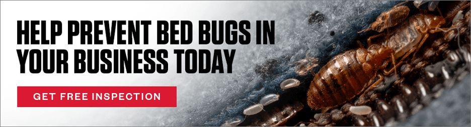 Headline: Help prevent bed bugs in your business today CTA: Get a Free Inspection