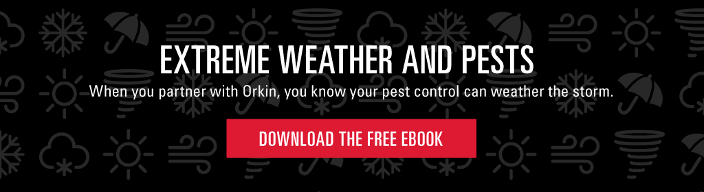 Extreme weather and pests. When you partner with Orkin, you know your pest control can weather the storm. Download the free ebook.