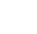 Alt Icon 2