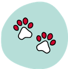 Bringing fleas into the home icon of paw prints