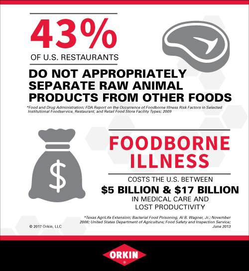 Incorrect Food Storage Infographic