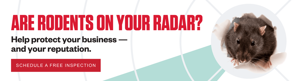Headline: ARE RODENTS ON YOUR RADAR?  Subhead: Help protect your business — and your reputation.   CTA: Schedule a Free Inspection