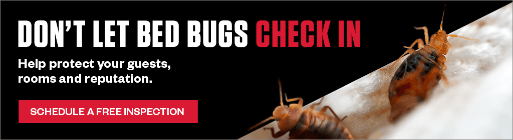 Banner: Don't Let Bed Bugs Check In: Help protect your guests, rooms and reputation. Close-up of bed bugs next to a "Schedule A Free Inspection" button.