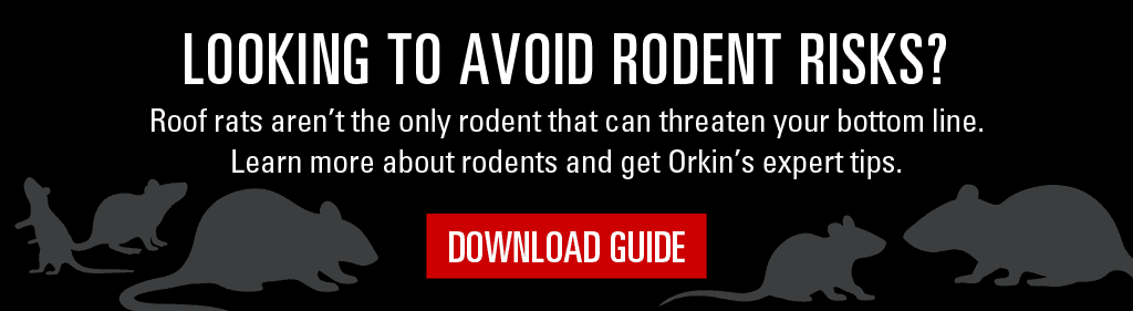 Looking to avoid rodent risks? Roof rats aren't the only rodent that can threaten your bottom line. Learn more about rodents and get Orkin's expert tips. Download guide.