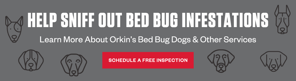 Headline: Help sniff out bed bug infestations  Subhead: Learn more about Orkin's bed bug dogs & other services CTA: Schedule a Free Inspection