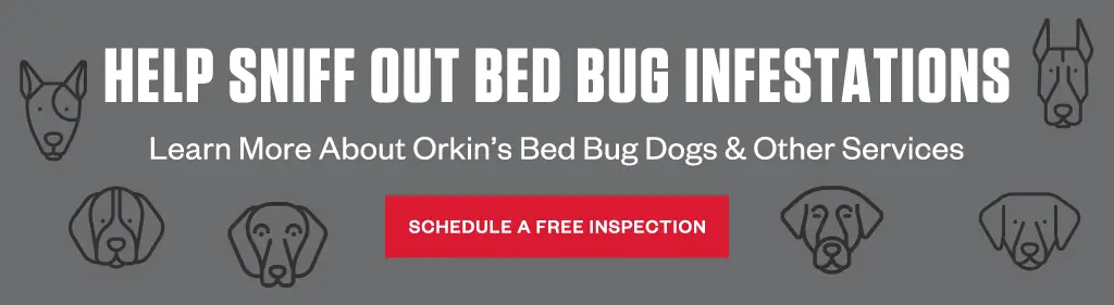 Headline: Help sniff out bed bug infestations Subhead: Learn more about Orkin's bed bug dogs & other services CTA: Schedule a Free Inspection
