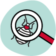 Thorough Bed Bug Inspections icon