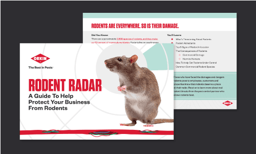 Orkin. The Best in Pests. Rodent Radar. A guide to help protect your business from rodents.