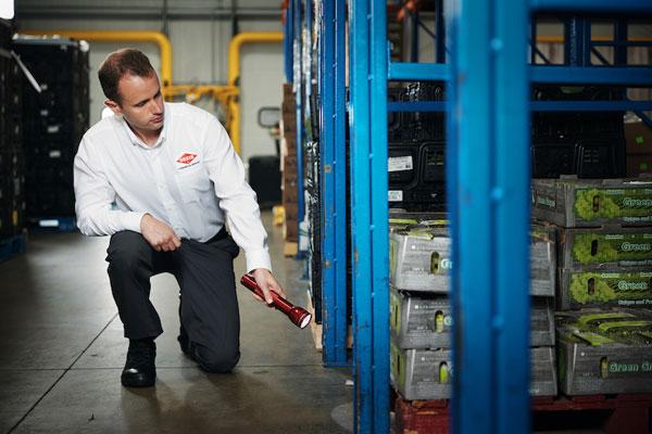 An Orkin Pro inspecting cases of food in a warehouse-600x400